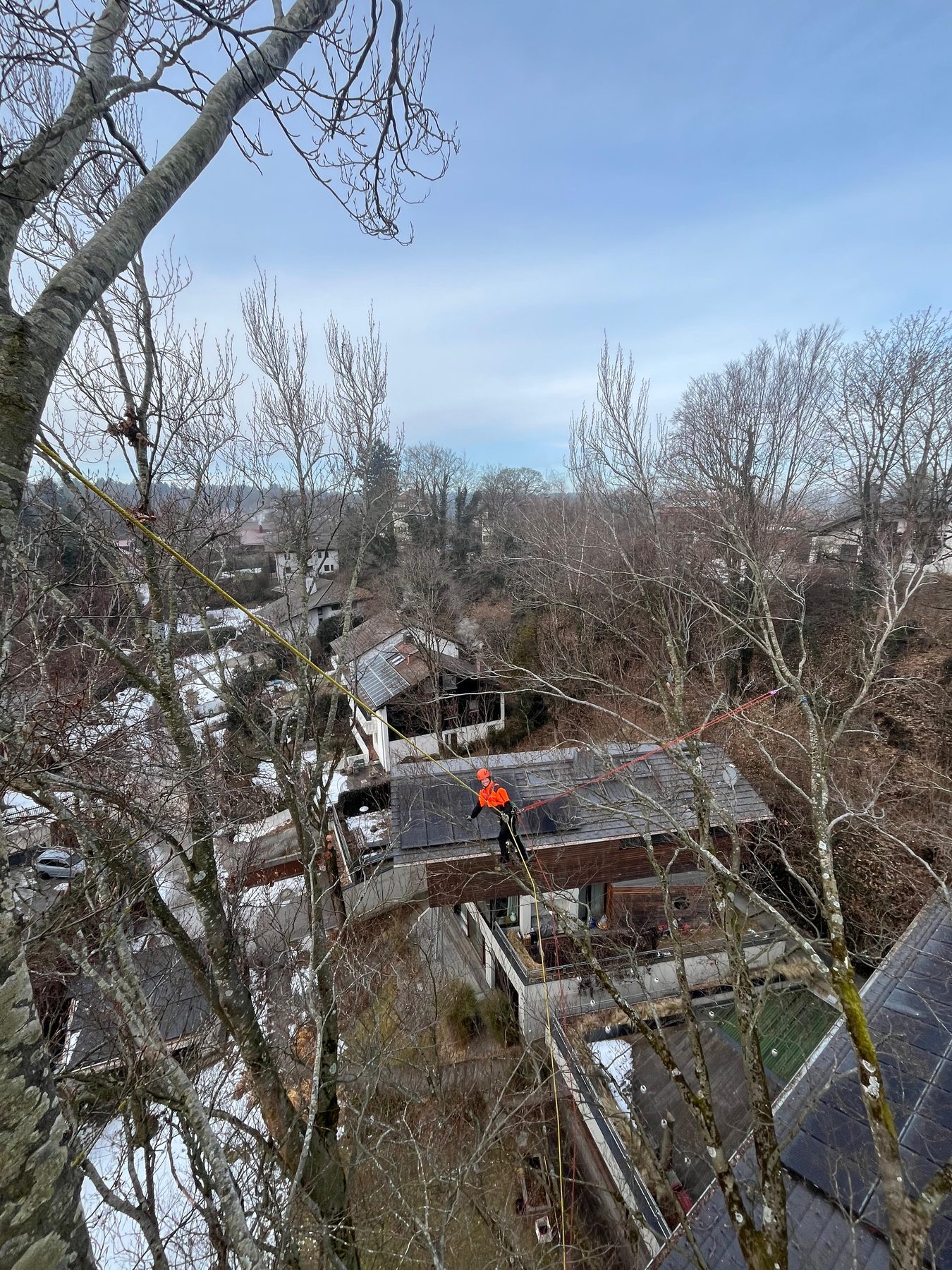 Baumpfleger im Seil über den Dächern am Starnberger See