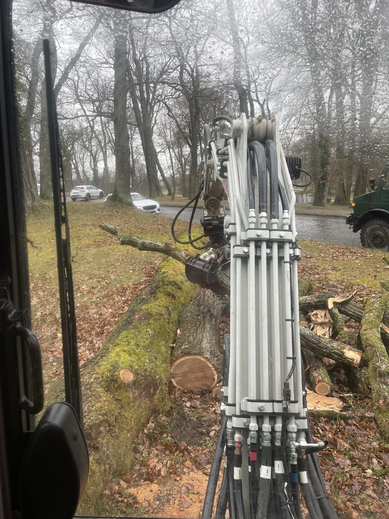 Aufarbeitung eines Eichenstamms mit Kranarbeit bei Regen in einer Allee